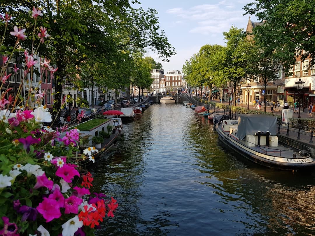 İstanbul - Amsterdam Uçak Bileti