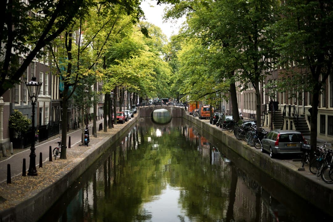 İstanbul - Amsterdam Uçak Bileti